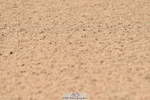 230720A-104326-02206