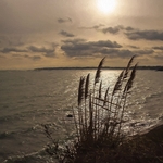 Falmouth Sunset