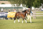 SBM_10356