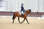 SBM_001851
