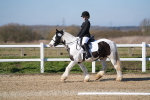 SBM_001996