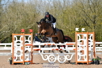 Cls 31, YH 6yr 1.20m portfolio