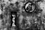Still Life (Shimen, New Taipei City) #1