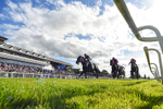 310526-Race 4-Brielle-3591