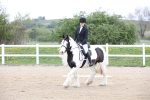 SBM_006564