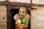 Associateship of The Royal Photographic Society of Great Britain - ARPS portfolio