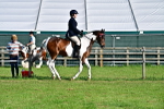 SBM_11390