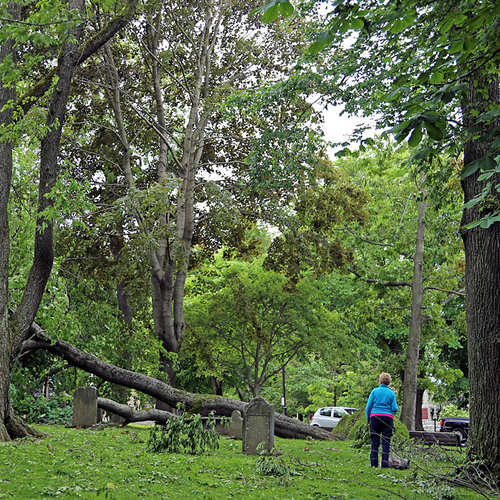 The Loyalist Burial Ground in Uptown Saint John was hit particularly hard.