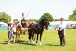 SBM_06698