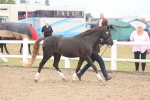 SBM_08409