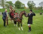 Attelage -1066