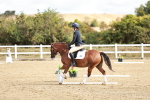 SBM_009923