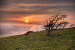 z2679 Culver Fog at Sunset
