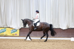 SBM_001561