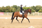 SBM_006351