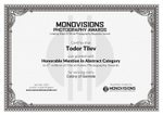 Monovisions Photography Awards_Abstract Category