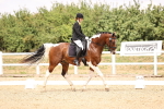 SBM_008754