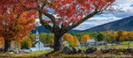 Tamworth Autumn Panorama
