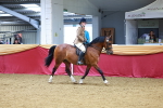 SBM_00736