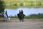 WJ6_8916