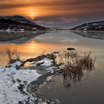 Red Dawn