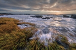 High Tide