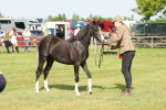 SBM_00785