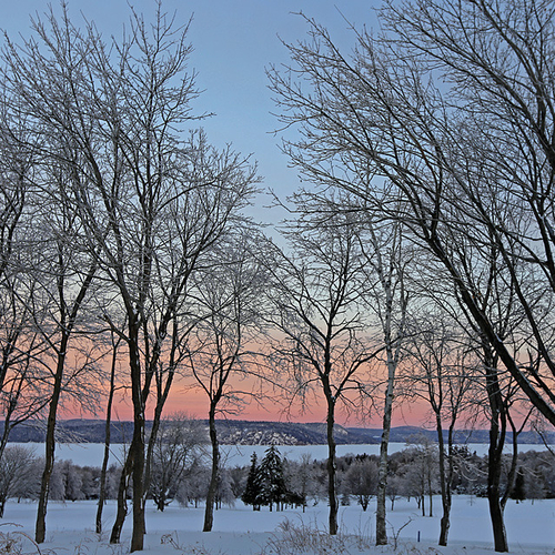 Dawn breaks along the Kennebecasis and Long Island as seen through a frosty deciduous grove.