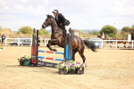 SBM_008068