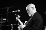 FOLK N BLUES-391