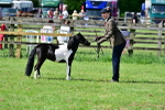 SBM_03542