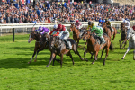 230923-Race 5-Vintage Clarets-6799