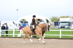 SBM_00251