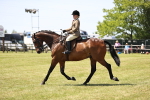 SBM_17721