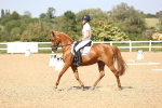 SBM_010185