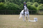 WJ6_4557