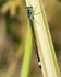 20080623- 017