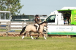 SBM_12701