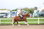 SBM_00261