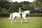 SBM_65902