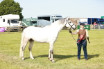 SBM_01685