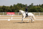 SBM_004248