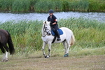 WJ7_6203