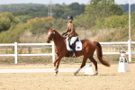 SBM_018804