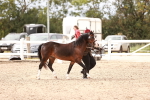 SBM_16308