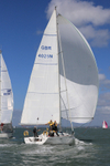 170731 SUNSAIL 4025 1Y3A9417_Ed