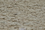 230630A-134938-02450