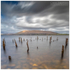 The Posts, Galway (IMG0750)