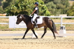 SBM_003520