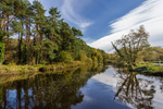 River Lagan at Moreland's Meadow, Lagan Valley.